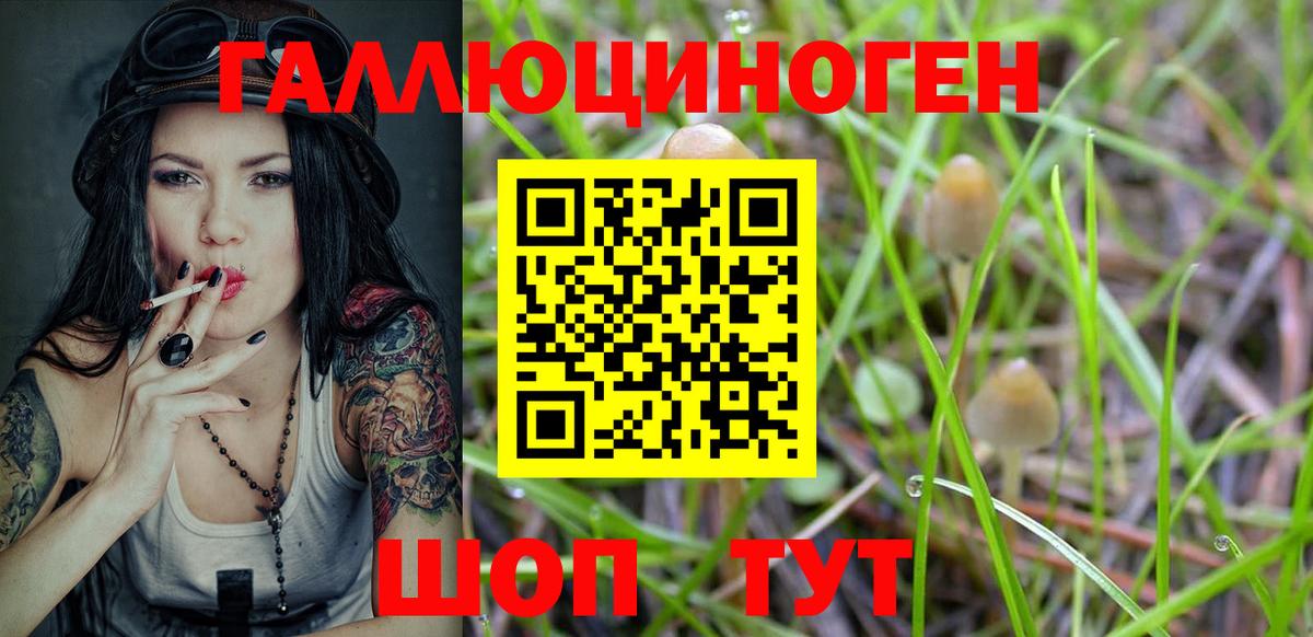 Псилоцибиновые грибы MAGIC MUSHROOMS Асино